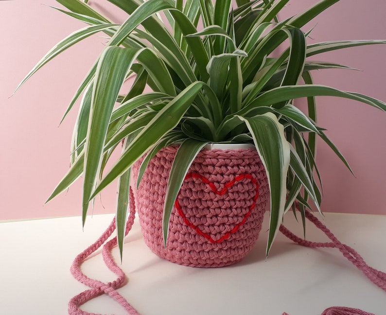 Housewarming gift plant lover succulent hanging planter Etsy