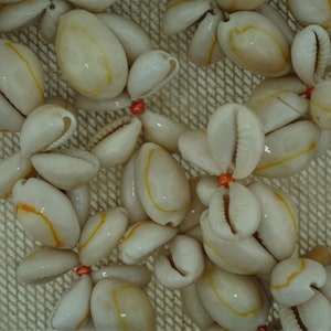 Vintage 38 Inch Cowrie Shell Eternity Necklace