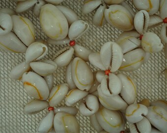 Vintage 38 Inch Cowrie Shell Eternity Necklace