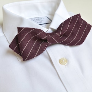 Può includere: Una camicia bianca con un papillon bordeaux a righe bianche. Il papillon è annodato e indossato sulla camicia.