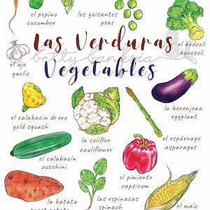 A3 Bilingual Poster, Vegetables, Verduras, Spanish, English, Educational Wall Chart, Classroom/Bedroom Decoration, Illustrated Language