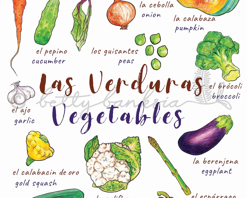 May include: An illustration of various vegetables with their Spanish and English names. The vegetables include garlic, cucumber, peas, onion, pumpkin, broccoli, eggplant, asparagus, and squash.
