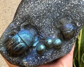 Rare 3.25lb XL Hand Carved Labradorite Lucky Beetle Sacred Scarab Egyptian Immortality Crystal Carving - Madagascar - Item L170648