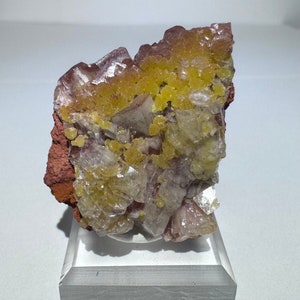 May include: A cluster of yellow and white crystals on a red matrix. The crystals are translucent and have a glassy luster. The matrix is rough and textured.