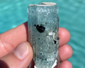 Aquamarine Beryl with Black Tourmaline Schorl Crystal 1.8” 32g Mineral Specimen - Erongo Mts, Namibia - Item:AQ22034