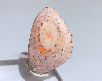 Item:O18558 Mexico Top Quality 6.3ct Polished Fire Opal Crystal Cabochon Perfect for Jewelry