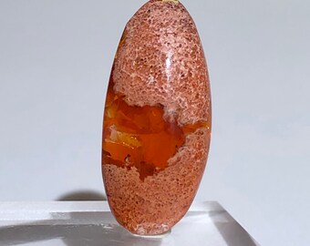 Item:O18558 Mexico Top Quality 6.3ct Polished Fire Opal Crystal Cabochon Perfect for Jewelry