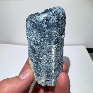 May include: A hand holds a rough, textured rock formation. The rock has a dark blue-gray color with a white and beige stripe running along one side. The surface appears to have a layered, wave-like pattern.
