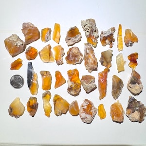 May include: A collection of raw, uncut opal gemstones in shades of orange, yellow, and brown. The opals vary in size and shape, with some displaying a translucent quality. A US quarter is included for size reference. The opals are arranged on a white surface.