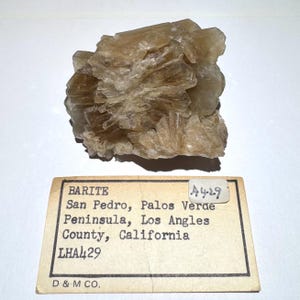 May include: A cluster of light brown barite crystals with a radiating, layered structure. A label below reads "BARITE" and lists the origin as San Pedro, California, with the code "LHA429".