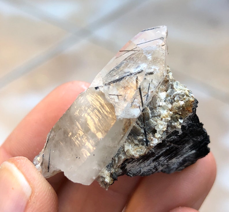 Top Quality 24g 1.5\u201d Black Tourmaline Schorl w Quartz Crystal Specimen Item:T19029 Africa Namibia Erongo Mts