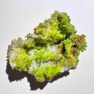 May include: A raw mineral specimen featuring vibrant neon yellow crystalline structures clustered on a textured, light-colored rocky matrix. The cluster displays numerous small, needle-like formations with a bright, luminous appearance.