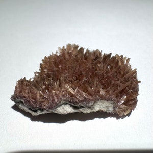 May include: A cluster of small, delicate, brown and pink crystals on a white rock. The crystals are arranged in a dense, spiky formation.