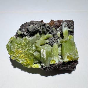May include: A mineral specimen featuring clusters of translucent, pale lime-green prismatic crystals embedded in a dark, porous, charcoal-colored matrix. The crystalline structure displays varying shades of yellow-green with a reflective, vitreous luster.