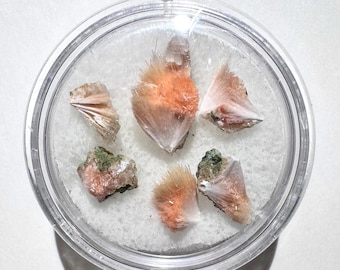 6pc Lot Orange Thomsonite with Mesolite Gem Pack Mineral Set 7-13mm Wholesale Crystal Set - Madhya, Pradesh, India - Item:Q25195