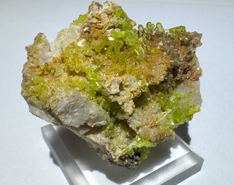 May include: A natural mineral specimen with clusters of bright, lime-green crystals. The crystals are set against a backdrop of off-white and brown rock, creating a striking contrast. The mineral sits on a clear acrylic display stand.