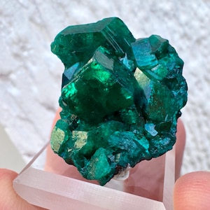 Rare 1.1” Gem Dioptase Cluster with Large Size Crystals 7.4g Mineral Specimen - Mindouli, Congo - Item:DIO25014