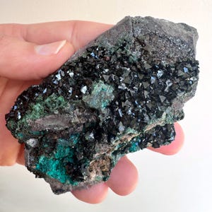 May include: A dark, rough mineral specimen featuring clusters of small, shiny, black crystals. The stone has areas of deep teal and green coloration, with a dark gray matrix. The mineral is held in a hand, showcasing its natural texture and color variations.