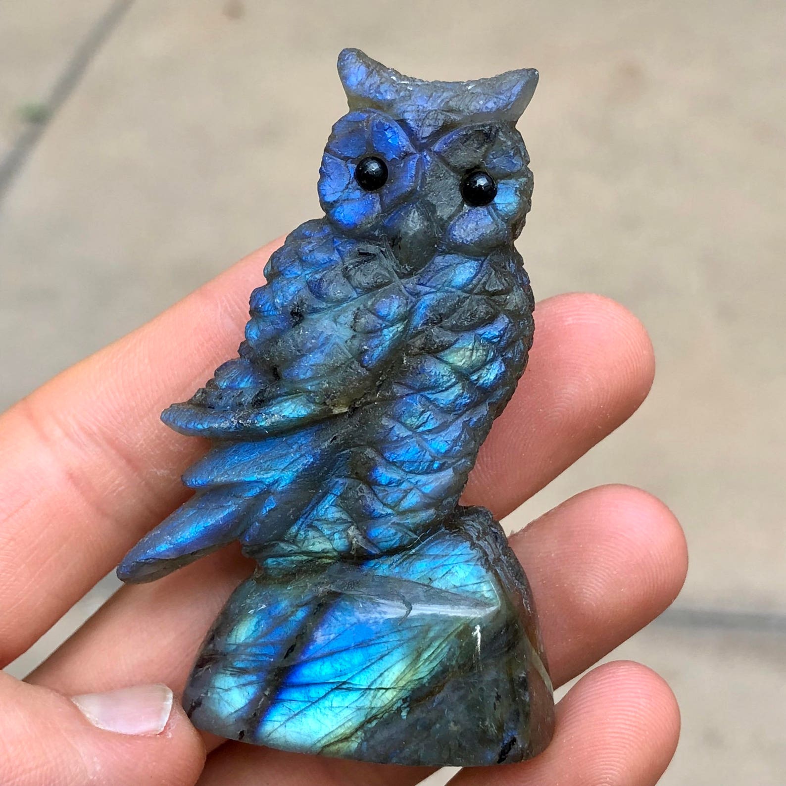 Top Quality 74g Hand Carved Labradorite Perched Owl Crystal Etsy