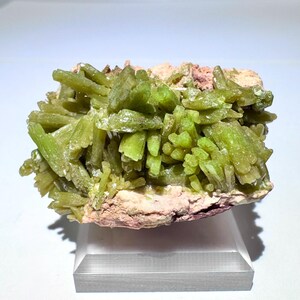 May include: A cluster of vibrant lime-green, prismatic crystals growing from a light tan, textured mineral matrix. The specimen is mounted on a clear, rectangular acrylic base, showcasing the vertical orientation and sharp, needle-like structure.