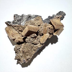May include: A natural mineral specimen featuring several tan, rectangular crystals clustered on a matrix of dark gray and brown rock. The crystals have a slightly rough texture and are well-defined.