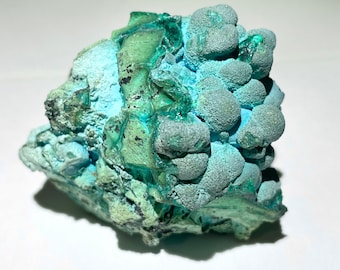 Rare 2.2” Chrysocolla over Malachite w/ Black Heterogenite Crystal Cluster 76g Crystal Specimen - Katanga, Congo, Africa - Item:MAL23003