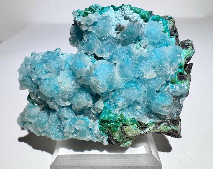 Rare 1.7” Arizona Druzy Blue Hemimorphite Over Chrysocolla Crystal ...