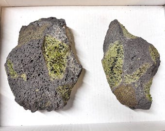 2pc Lot Peridot in Basalt Crystal Cluster Set 7.2”-7.4” 8lb Wholesale Mineral Set - Globe, Gila County, AZ