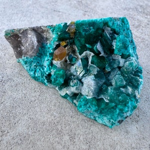 Extremely Rare 1.8” Gem Dioptase with Wulfenite & Quartz Crystal Cluster 32g Mineral Specimen - Kaokoveld Plateau, Namibia - Item:DIO24006
