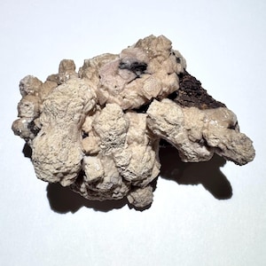 May include: A natural mineral specimen with a rough, textured surface. The rock formation features a mix of beige, tan, and dark brown colors. The mineral has a crystalline structure and is set against a white background.