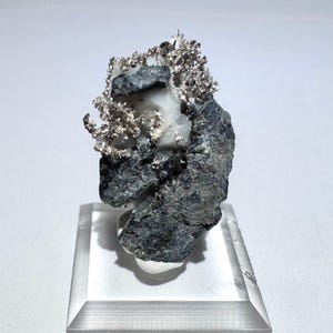 May include: A natural mineral specimen featuring a cluster of silver crystals atop a dark gray and white rock matrix. The silver crystals have a delicate, branching structure. The specimen is displayed on a clear acrylic stand.