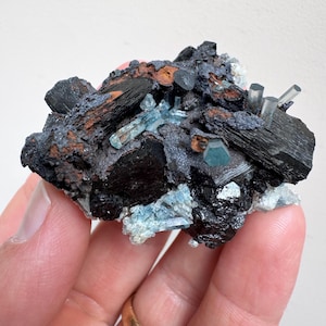 Aquamarine Beryl with Black Tourmaline Schorl Crystal Cluster 1.9” 42g Old Stock Mineral Specimen - Erongo Mts, Namibia - Item:AQ26017
