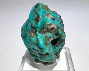 Arizona Turquoise Nugget 19x15mm 2.8g Natural Mineral Specimen - Castle Dome, AZ - Item:TQ26004