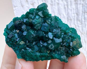 Rare 2” Gem Dioptase Crystal Cluster 27g Mineral Specimen - Mindouli, Congo - Item:DIO25011