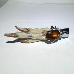 May include: A silver and amber brooch featuring a taxidermied rabbit foot with fur. The foot is attached to a silver setting with a large amber stone.