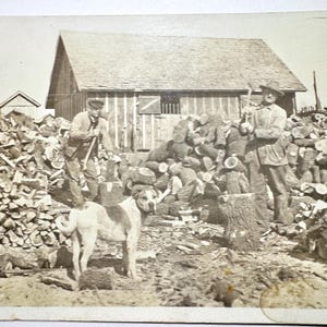 Rare Antique Outdoor Photograph Men Chopping Wood and Foxhound Dog Vintage Early 1900s Real Photo Postcard RPPC
