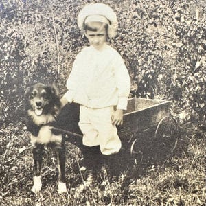 Rare 1908 Antique Outdoor Photograph Boy with his Border Collie Dog 1 cent Stamp Vintage Real Photo Postcard RPPC Grass Lake, Michigan