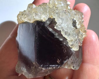 Rare 1.8” Museum Quality Nigerian Gem Fluorite with Quartz Crystal 115g Mineral Specimen - Akwana, Logo, Benue, Nigeria - Item:F25007