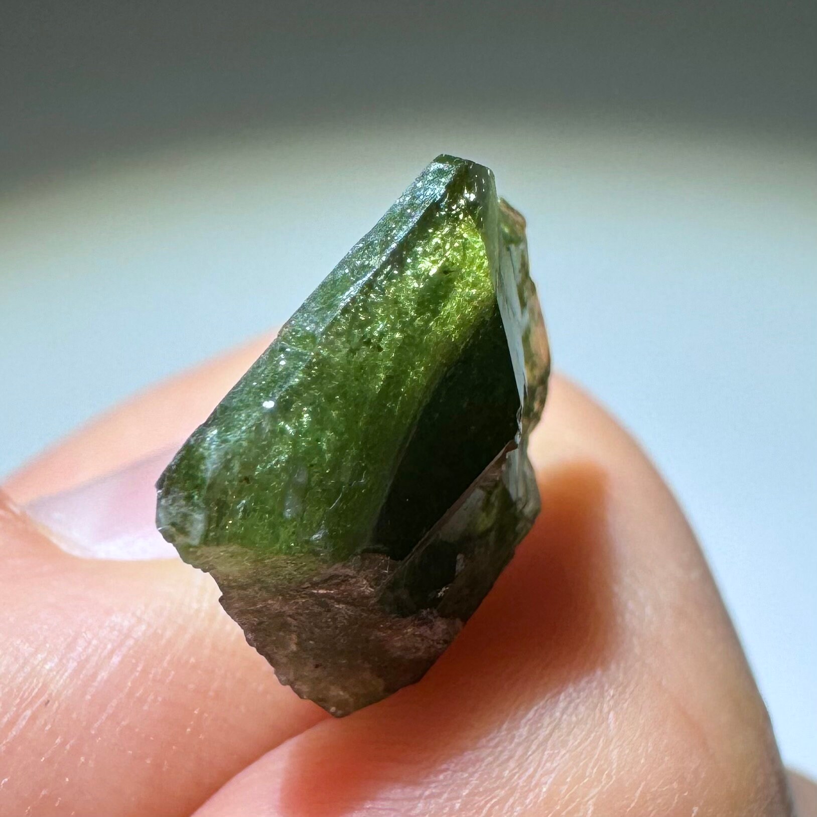 FuraFura2525 ページPt900Green Tourmaline Buy a Fine Aquamarine Crystal Specimen – Fossil Realm