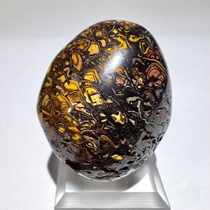 May include: A polished, egg-shaped stone with a complex pattern of brown, black, and gold hues. The stone's surface has a unique, organic design, resembling a network of veins or a mosaic. The object is displayed on a clear, rectangular stand.