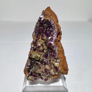 May include: A natural mineral specimen featuring a cluster of purple crystals within a brown matrix. The crystals have a sparkling, translucent quality, contrasting with the rough, earthy texture of the surrounding rock. The specimen is displayed on a clear stand.