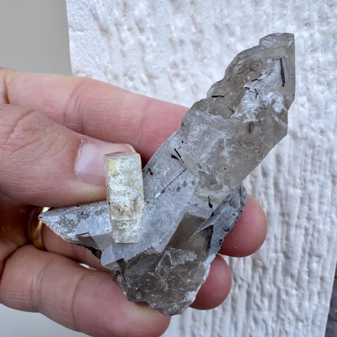 Rare 2.6” Goshenite Beryl W/ Black Tourmaline Schorl on Quartz Crystal ...