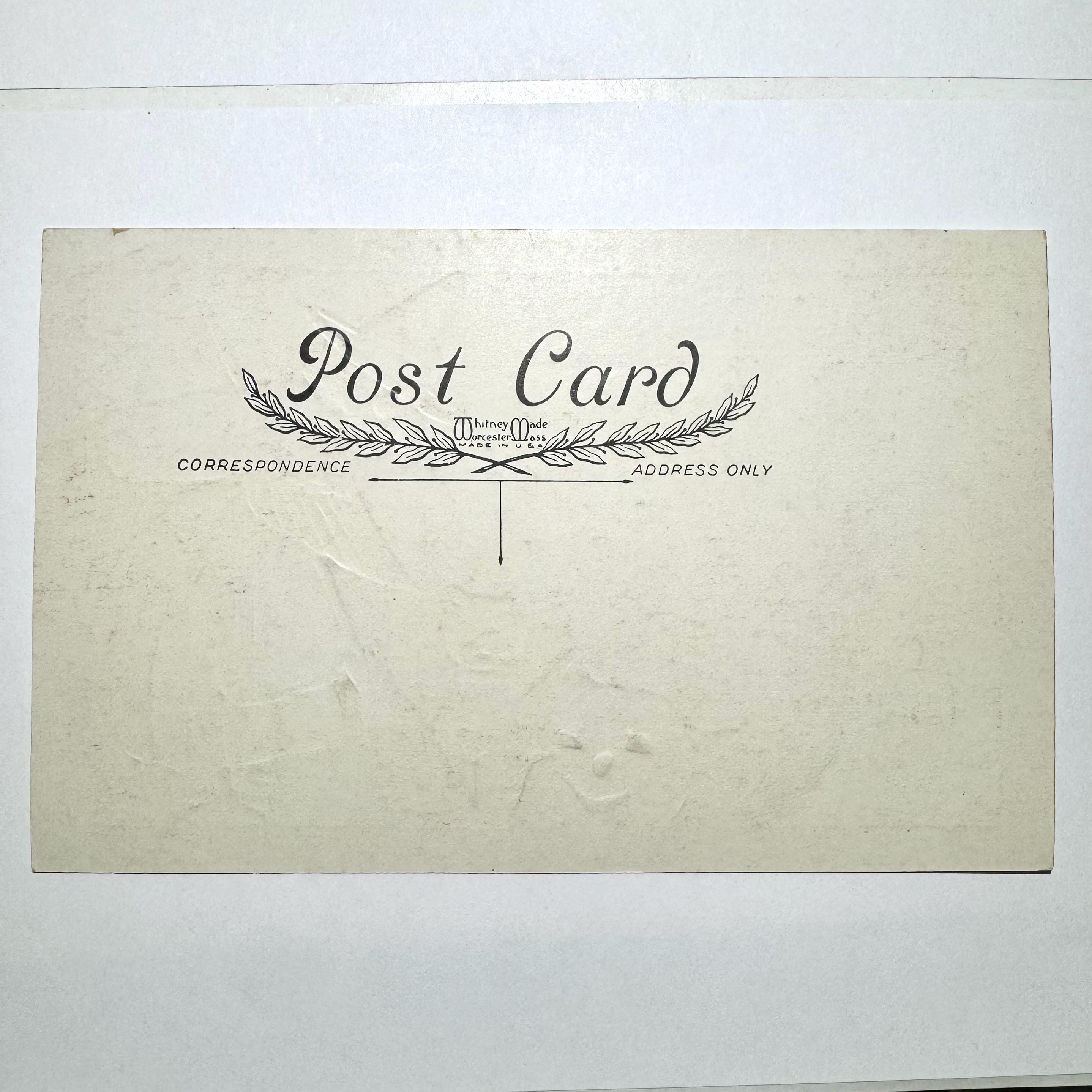 Rare Vintage 1930s Original Whitney Halloween Postcard Owl, Cat ...