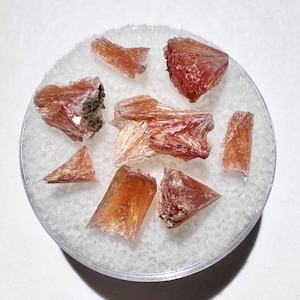 May include: A collection of orange-red mineral specimens, possibly selenite or similar, arranged on a white, circular base. The crystals have a fibrous, radiating structure, with varying sizes and shapes. The lighting highlights the translucent quality of the minerals.