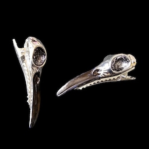 Bird skull hair clip - raven skull clips - gothic bobby pin-skull hair pin-skull hair clip set of 2