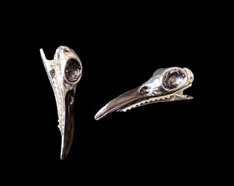 Bird skull hair clip - raven skull clips - gothic bobby pin-skull hair pin-skull hair clip set of 2