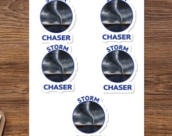 Storm Chaser Meteorologist Weather Enthusiast Sticker Sheet