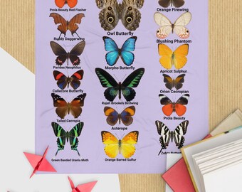 Throw Blanket Butterflies From Peru Gift for Girls, Women, Butterfly Lovers