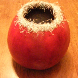 crochet topped gourd in red, red gourd, gourd vessel