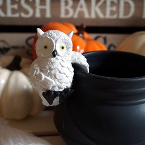 May include: A white owl figurine perched on the rim of a black cauldron. The cauldron is sitting on a wooden surface with a white feather in the foreground.